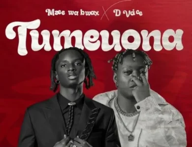 mzee wa bwax ft d voice tumeuona