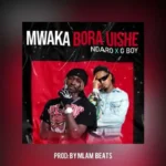 ndaro ft g boy mwaka bora uishe