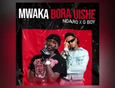 ndaro ft g boy mwaka bora uishe