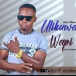 2nyi music ulikuwa wapi