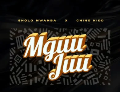 Sholo Mwamba Mguu Juu