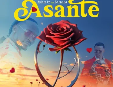 aslam tz ft barnaba asante