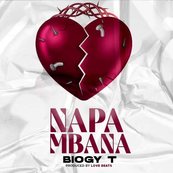 biogy t - napambana biogy t napambana