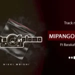 nikki mbishi ft barakah da prince mipango ya pombe