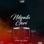 omg nikipata gari