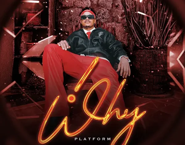 platform - why platform why