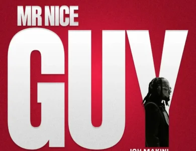 Joh Makini Mr Nice Guy