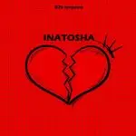 b2k mnyama inatosha