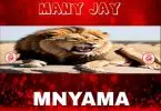 many jay mnyama