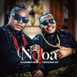 Blackman Bausi Ft Professor Jay Ndoa