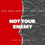 Bobi Wine Ft King Saha Not Your Enemy