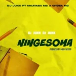 Dj Jukk Ft Mkataba Mc Choba Mc Ningesoma