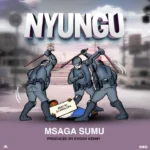 Msaga Sumu Nyungu