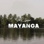 fally ipupa mayanga