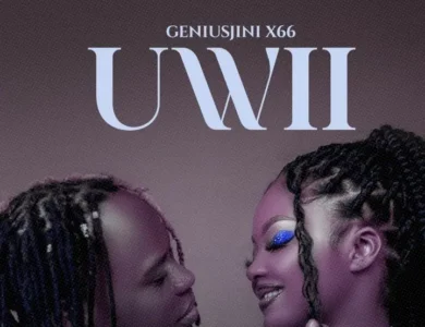 geniusjini x66 uwii