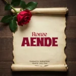 ronze aende