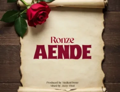 ronze aende