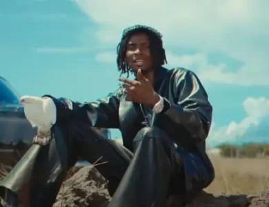 video d voice mbwa