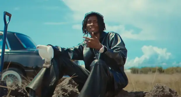 video d voice mbwa