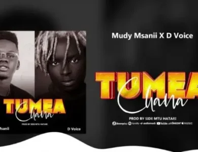 Mudy Msanii Ft D voice Tumeachana