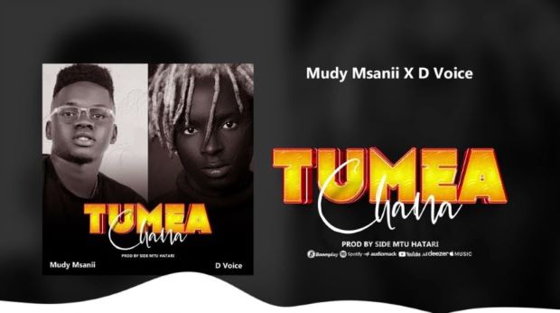 Mudy Msanii Ft D voice Tumeachana