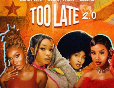 Wendy Shay Ft Phina Too Late Remix