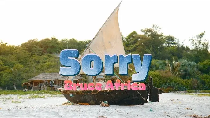 bruce africa - sorry bruce africa sorry