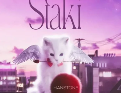 hanstone staki