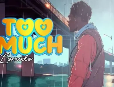 lomodo too much