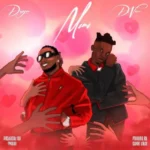 dayoo ft d voice mimi