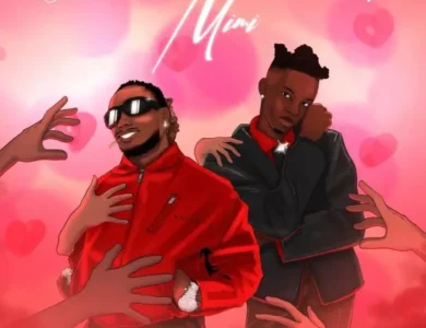 dayoo ft d voice mimi