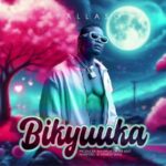 Pallaso Bikyuuka