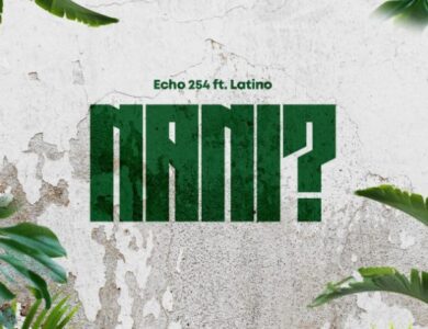 Echo 254 Ft Latinoh Nani