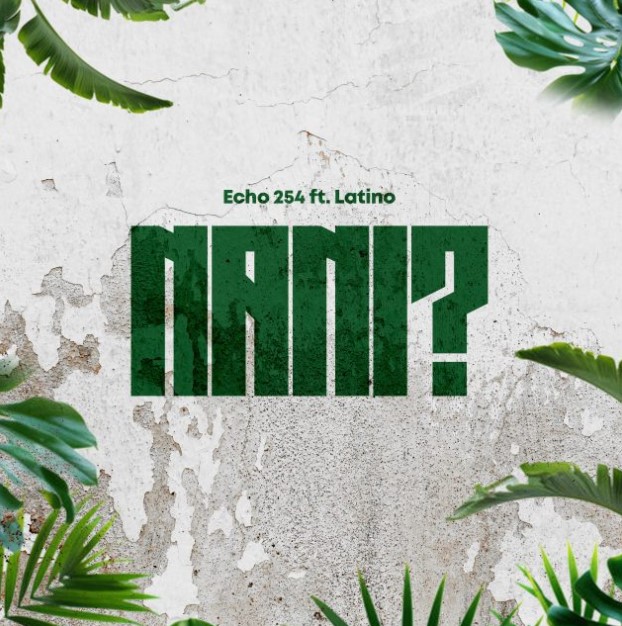 Echo 254 Ft Latinoh Nani