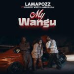 Lamapozz Ft Amber Lulu Country Wizzy My Wangu