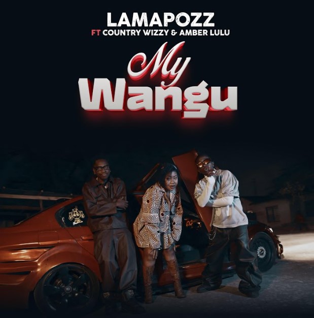 Lamapozz Ft Amber Lulu Country Wizzy My Wangu