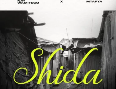 nay wa mitego ft mtafya shida