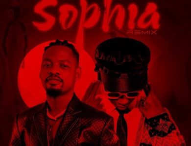 nandy aibu Ben Pol Ft DJ Mushizo Sophia Remix