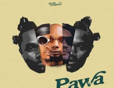 mbosso ft darassa billnass g nako pawa