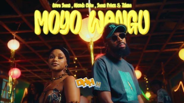 learn shona & atenda chinx moyo wangu shona