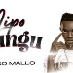 Dogo Mallo Lipo Fungu