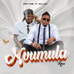 Pest Vybz Ft Pallaso Nvumula RMX