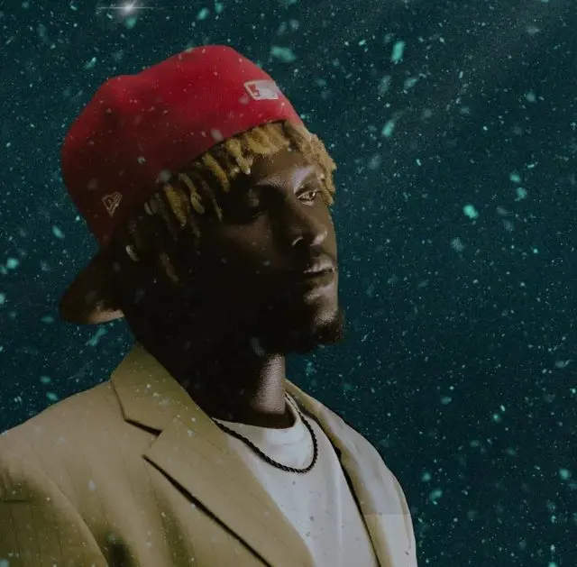 bruce africa - on your door bruce africa on your door