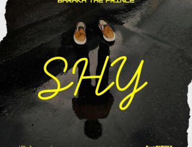 Barakah The Prince SHY