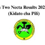 Matokeo ya Kidato cha Pili 20252026 FTNA Results 810x367 1
