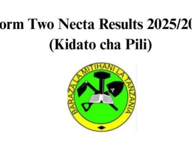 Matokeo ya Kidato cha Pili 20252026 FTNA Results 810x367 1