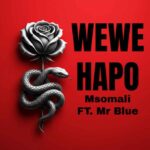 Msomali Ft Mr Blue Wewe Hapo