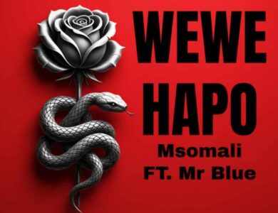 Msomali Ft Mr Blue Wewe Hapo