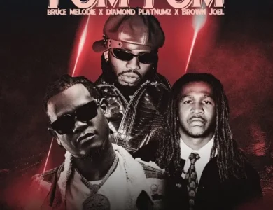 best naso ft macvoice bruce melodie ft diamond platnumz pom pom