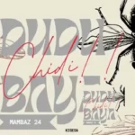 dudu baya chidi diss track